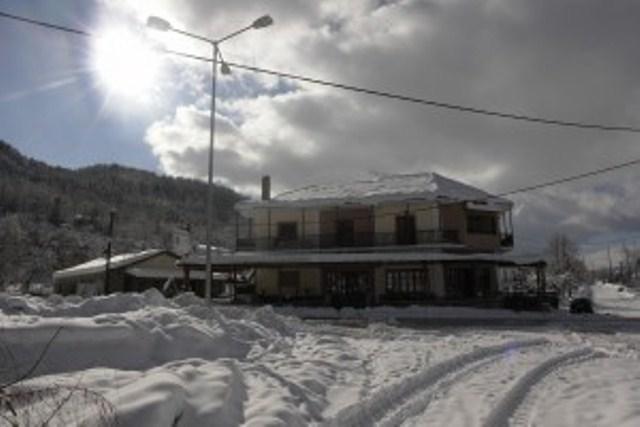 Villa Rosa Antartiko Exteriör bild